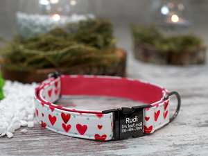 ปลอกคอสุนัขแบบกำมะหยี่ลายพิมพ์ส่วนตัว  สำหรับสุนัขตัวเล็ก กลาง ใหญ่  ทั้งตัวผู้และตัวเมีย - Product Image 5