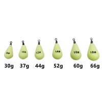 Plomb lumineux avec coque en plastique souple 30g 60g 75g 112g 131g 150g Poids de plomb