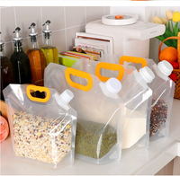 Récipient de sac en plastique pliable personnalisé de 1L 2L 5L (avec bec verseur) Sacs de liquide faciles à transporter