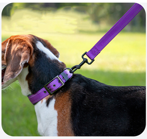 Correa de nailon para perro con rayas reflectantes al por mayor - Product Image 2