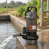 Pompe submersible série Mingyuan QDX, 220V monophasée, pompe à eau électrique pour l'irrigation et le déshydratation des puits