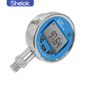 Manomètre numérique de haute précision YK-100B avec affichage LCD 5 chiffres et RS485 - Product Image 4