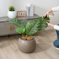 Pot de fleurs en plastique de haute qualité, moderne, en forme de boule, écologique, léger, durable, système d'auto-arrosage, utilisation intérieure/extérieure