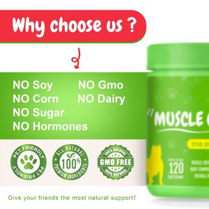 Vente en gros de suppléments de santé pour animaux de compagnie à mâcher doux à gain musculaire Protéines pour chiens Morsures à mâcher Chien <span class=keywords><strong>Bully</strong></span> <span class=keywords><strong>Max</strong></span> Performance Comprimés de construction pour chiens - Product Image 2