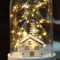 Dôme en verre décoratif fil de cuivre led guirlandes lumineuses