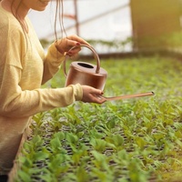 Arrosoir de jardin en cuivre de 1L à long bec, en métal galvanisé, avec bec col de cygne pour un versement facile, idéal pour la plantation intérieure