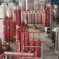 Heptafluoropropane Extincteurs à mousse de gaz à double armoire simple Équipement de distribution d'énergie en acier pour l'incendie de la salle des machines