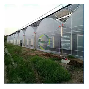 Customizable Prefab Grow Medical Plant Poly Carbonate Poly Tunnel Greenhouse With Compression Spring Circlip Slot