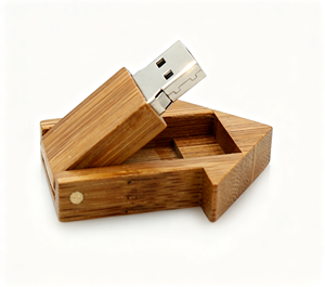 Memoria USB Ecológica con Forma de Casa de Madera, 128MB-64GB, USB 2.0, Logotipo Grabado Personalizado, Regalo Corporativo - Product Image 2