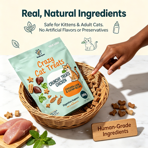 Snacks Saludables para Gatos de Marca Privada, Textura Crujiente, <span class=keywords><strong>Pollo</strong></span> y Hígado Reales, Sin Granos, con Catnip y Soporte Digestivo - Product Image 6