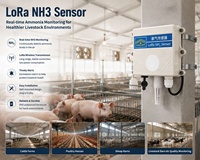 Détecteur de gaz intelligent sans fil LoRaWAN NH3 pour l'ammoniac, idéal pour la surveillance de la qualité de l'air dans les fermes avicoles et les systèmes industriels