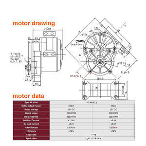 ชุ<span class=keywords><strong>ด</strong></span>แปลงมอเตอร์ไ<span class=keywords><strong>ฟ</strong></span><span class=keywords><strong>ฟ</strong></span>้า 24V 250W สำหรับรถสามล้อบรรทุกแบบ DIY พร้อมล้อขนาด 8 นิ้ว - Product Image 4