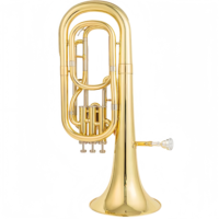 Alto Horn Eb Key 3 Upright Pistons Gold Lacquer Finish Brass Instruments with Stainless Steel Pistons for Beginners and Band