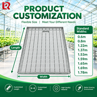 Plateau de semis à flux et reflux pour serre, culture hydroponique de fraises et légumes, fabriqué en Chine