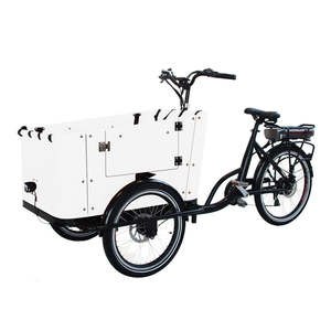 Vélo cargo familial électrique à 3 roues, 250W 500W, normes européennes, best-seller, tricycle électrique avec <span class=keywords><strong>side</strong></span>-<span class=keywords><strong>car</strong></span>, vélo cargo électrique, E-bike - Product Image 4