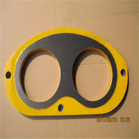 Plaque de lunettes pour pompe à béton schwing