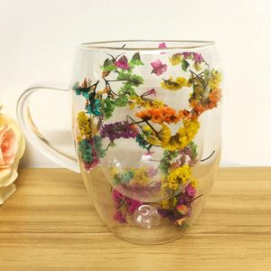 Low Moq Handmade High Borosilicate <b>Double</b> <b>Wall</b> Glass <b>Mug</b> Cup with Dry Flower - Product Image 3