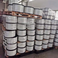 Cable de Fibra Óptica de 1, 2 o 4 Núcleos, Línea de Fibra Óptica de Nivel Básico, Tipo Mariposa Autoportante para Exterior