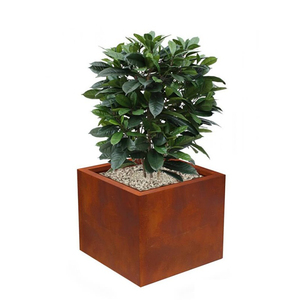 Jardinera Cúbica de Acero Resistente al Desgaste, Estilo Rústico, para Decoración de Pisos, Uso en Interiores y Exteriores - Product Image 2
