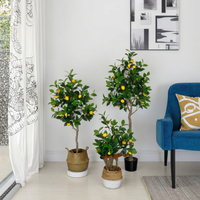 NINI Bonsaï d'intérieur Citronnier Artificiel, Plante Verte en Plastique pour Décoration de Salon et Magasin de Vêtements