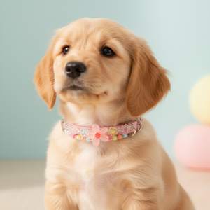 Evcil Hayvanlar İçin Dört Yapraklı Renkli Uzatılabilir Tasma Seti Sınır Ötesi Çok Satan Kedi ve Köpek Tasması Küçük Köpek Tasması - Product Image 1