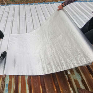 Sellador <span class=keywords><strong>de</strong></span> lámina <span class=keywords><strong>de</strong></span> <span class=keywords><strong>aluminio</strong></span> adhesivo <span class=keywords><strong>impermeable</strong></span>, <span class=keywords><strong>cinta</strong></span> <span class=keywords><strong>de</strong></span> butilo para grietas <span class=keywords><strong>de</strong></span> techo y pared, tamaño personalizable, 5cm x 5m - Product Image 6