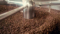 Expresso en grains de café torréfiés à sec de haute qualité Yunnan moyennement foncé Excel