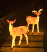 Luz LED IP65 personalizada, grande, transparente, de PVC, con forma de ciervo, para parques y jardines, decoración de Año Nuevo, para Diwali y Navidad - Product Image 1