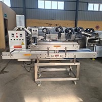 Vente flash : Machine à découper la viande fraîche, machine à découper la viande en lanières, trancheuse à viande, machine à découper la viande pour la fabrication de produits carnés