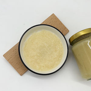 Fabricant sur mesure de pâte d'ail, prix export, pot en verre de 225g, sachet en vrac, HALAL Casher pour sauces et cuisson - Product Image 3