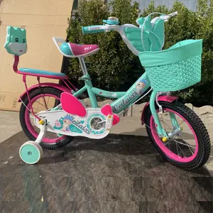 2024婴儿儿童自行车钢架儿童自行车12 14-16英寸，带4-16岁男孩女孩训练轮