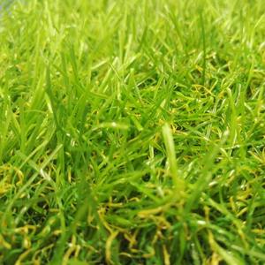 Meisen 4 tons vert marron coloré 30mm <span class=keywords><strong>38mm</strong></span> <span class=keywords><strong>gazon</strong></span> <span class=keywords><strong>synthétique</strong></span> pour paysages de jardin extérieur parc pont sol tapis d'herbe verte - Product Image 1