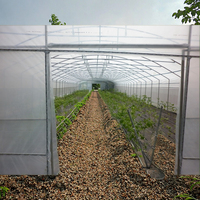 Serre commerciale à simple travée, système hydroponique, grande utilisation agricole, fabriquée en Europe, en PVC double couche