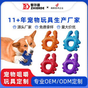 Jouet à mâcher pour animaux de compagnie, en nylon durable, pour petits chiens, pour la dentition et les jeux - Product Image 5