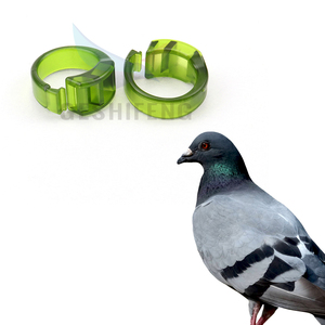 Hoge Kwaliteit 15.28 Mm Groene Kleur Gevogelte En Grote Vogels Ringen Open Plastic Voet <span class=keywords><strong>Ring</strong></span> Voor Valk - Product Image 3
