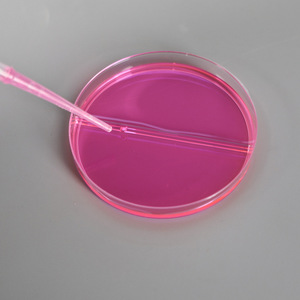 Placas de Petri Yongyue de 35 mm y 100 mm de Plástico para Cultivo Celular de Uso en Laboratorio - Product Image 2