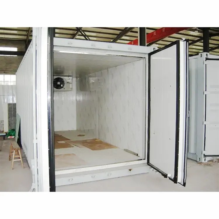 EMTH Top Supplier Industrial Cold Room And Freezer Food Storage 20ft Container Size Cold Storage Room Cooling Room For Meat