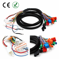 Faisceau de câblage et adaptateur pour phares HID à intensité variable, faisceau de câblage d'extension pour projets d'éclairage personnalisé et de rénovation