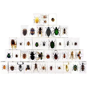 Serre-livres en résine cristalline ambre avec spécimen de scarabée Kun véritable et papillon, décoration artisanale miniature, fabriqué sans… (infini) - Product Image 4