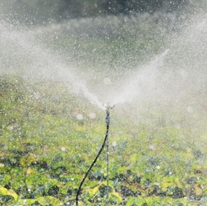 Ensemble de <span class=keywords><strong>micro</strong></span>-arroseurs rotatifs complets en plastique 241T avec piquet pour système d'irrigation de serre et de verger, <span class=keywords><strong>installation</strong></span> facile - Product Image 6