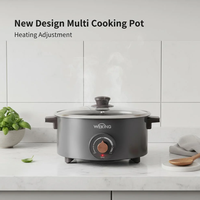 Nouveaux produits : Marmite électrique 3L avec réglage de la chaleur, appareils de cuisine, couleur personnalisée, couvercle en verre trempé pour usage domestique