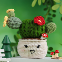 Ensemble de démarrage pour crochet et tricot pour adultes Kit d'artisanat textile pour cactus et plantes pour débutants