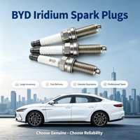 Bougies d'allumage Iridium BYD pour Qin Plus Song Plus DM-i 1.5L, OE 13505385-00, Allumage stable, démarrage à froid, longue durée de vie 80000KM