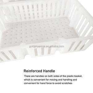 YYC Geflügel träger Huhn Transport boxen Wachtel taube Küken Transport kisten - Product Image 2