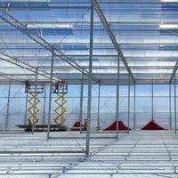 Multi-span grote landbouwkas van polycarbonaat, lage kosten & hoge opbrengst, geschikt voor tomatenteelt