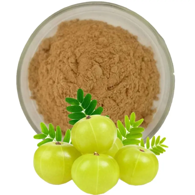 Amla powder organic indian gooseberry amla extract amla hair powder