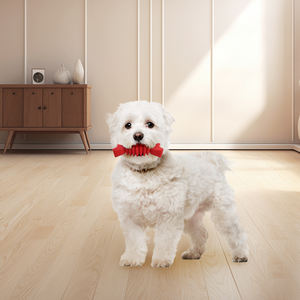 C4P Offre Spéciale caoutchouc étoile à cinq branches amd os forme chien jouet ensemble <span class=keywords><strong>2</strong></span> pièces chiot jouets - Product Image 3
