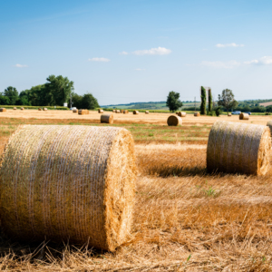 Dệt Kim Bale bọc Net/Silage hay Baler lưới bọc/hay Net bọc - Product Image 1