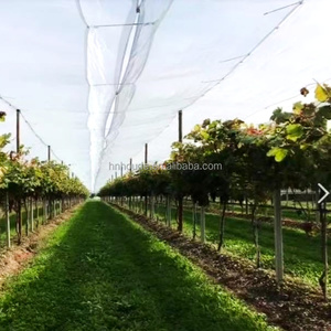 Tissu tissé en PE stabilisé aux UV, protection anti-goutte, film <span class=keywords><strong>de</strong></span> protection contre la pluie, découpe, bâche <span class=keywords><strong>de</strong></span> <span class=keywords><strong>serre</strong></span> pour vergers, bord renforcé - Product Image 6