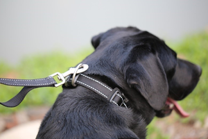 Guinzaglio, Collare e Pettorina per Cani Personalizzati in Poliestere Resistente con Tessuto Jacquard a Righe per Uso Tattico all'Aperto - Product Image 5